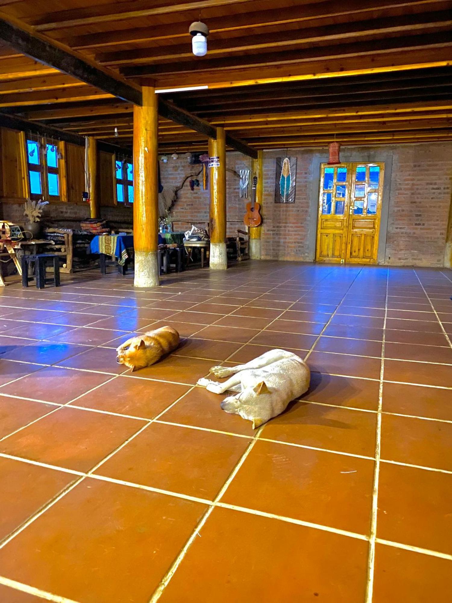 Pham'S House - Homestay & Cafe Sa Pa Kültér fotó